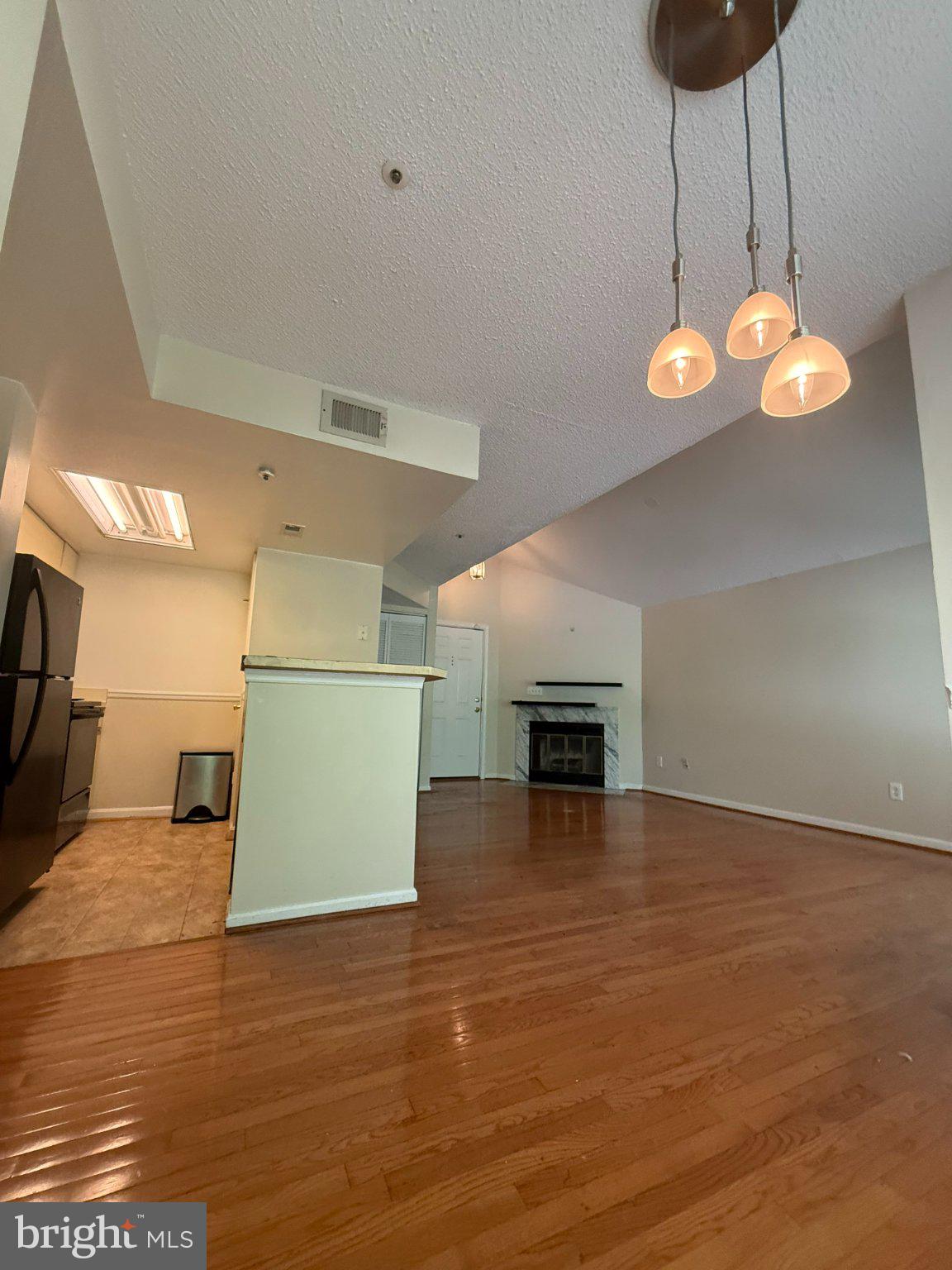 10510 Beacon Ridge Drive, Unit 14202 Bowie, MD 20721 - Photo 10 of 17 Spacious living area with modern charm.