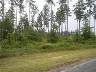 185 Mt Pleasant Road Hortense, GA 31543 - Photo 1 of 1 Gallery Image 1