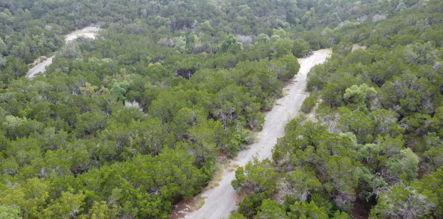 20603 Twilight Cove Leander, TX 78645 - Photo 1 of 4 a view of a forest with a tree
