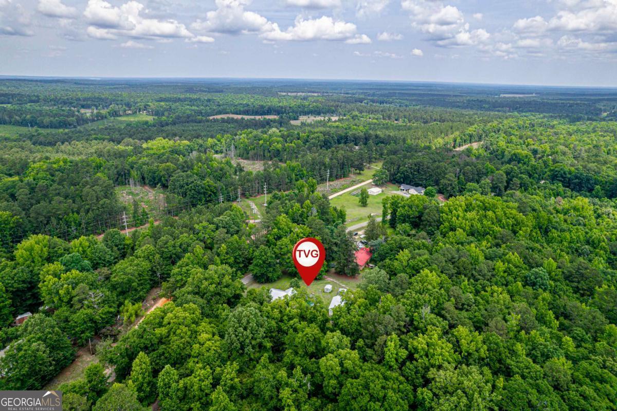 4275 Water Works Road Sparta, GA 31087 - Photo 2 of 55