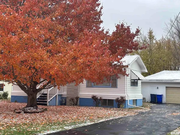 a front view of a house with a yard and a large tree