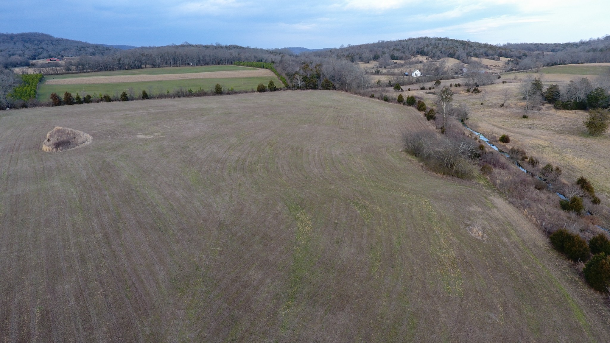 0 Toll Gate Road Petersburg, TN 37144 - Photo 8 of 40 Gallery Image 8