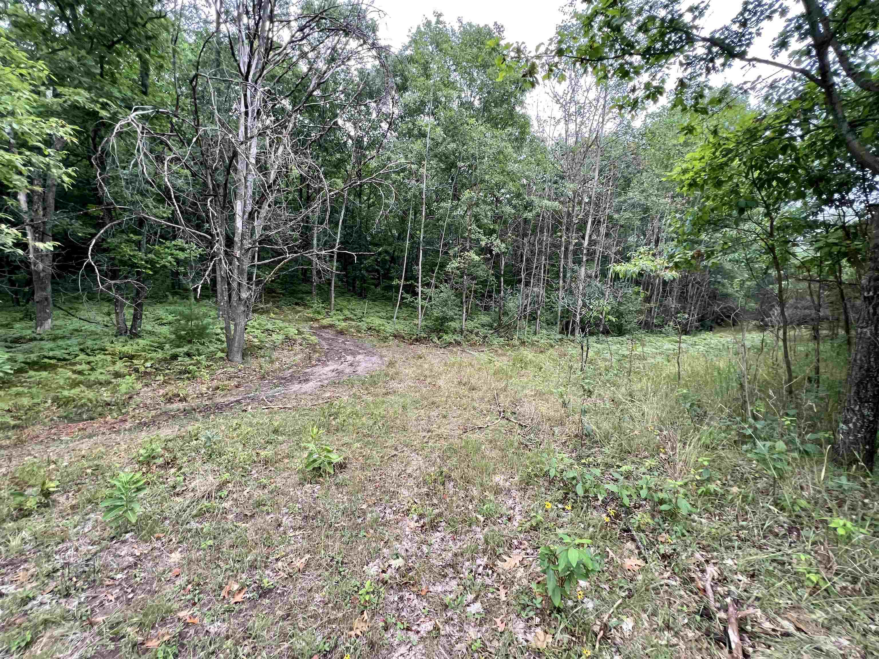 9 9 Mile Road Kingsley, MI 49649 - Photo 53 of 66