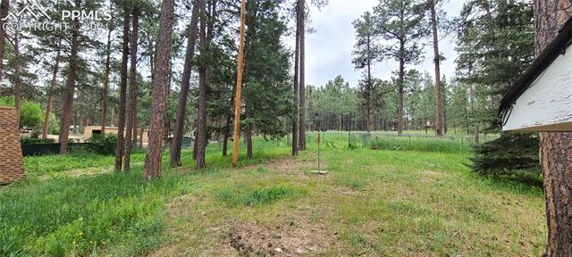 6735 Burrows Road Colorado Springs, CO 80908 - Photo 6 of 22 Gallery Image 6