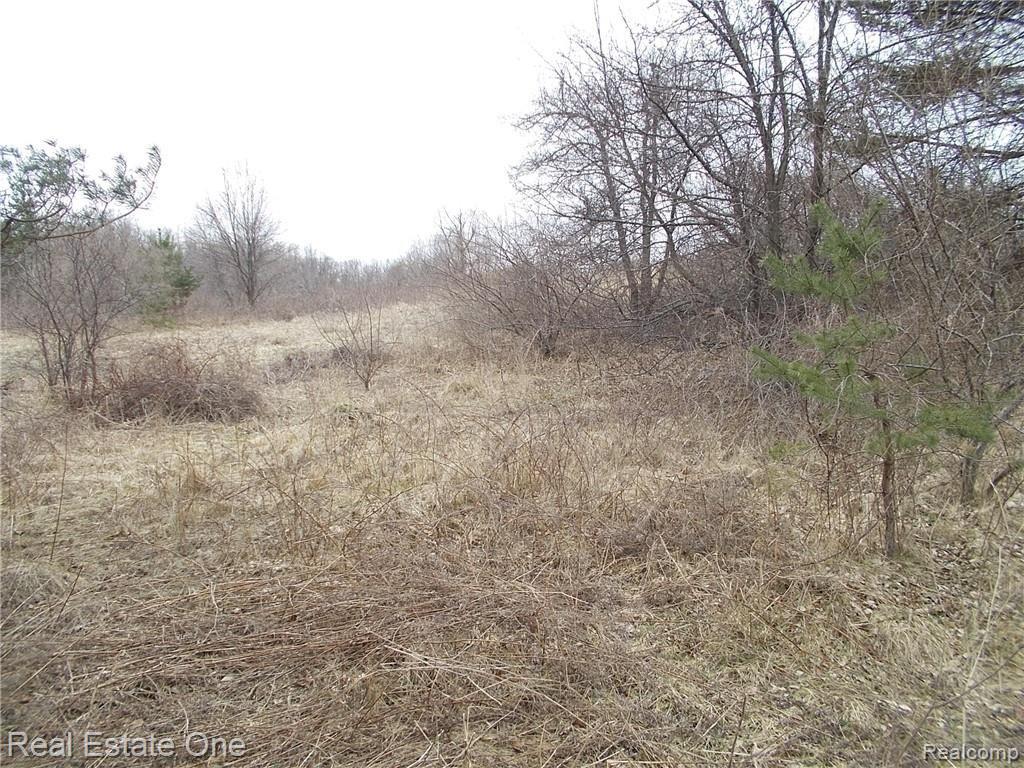 0 North Lake George Road Oakland, MI 48363 - Photo 13 of 55