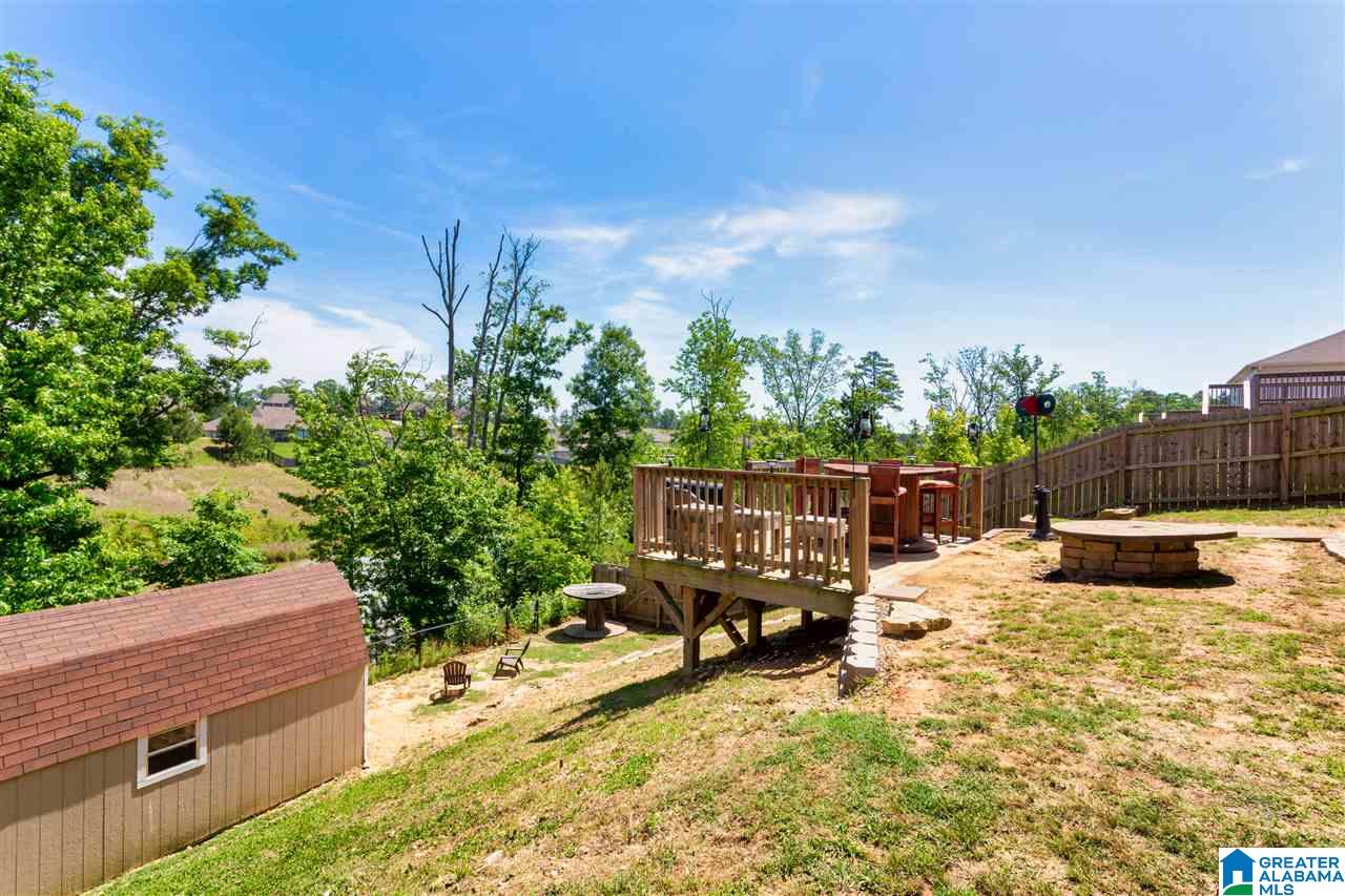 358 Blackberry Boulevard Springville, AL 35146 - Photo 49 of 50
