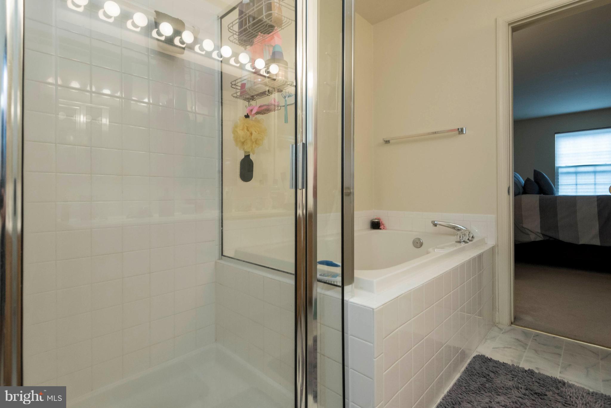 328 Roff Point Drive Odenton, MD 21113 - Photo 22 of 30 Bath (Master)