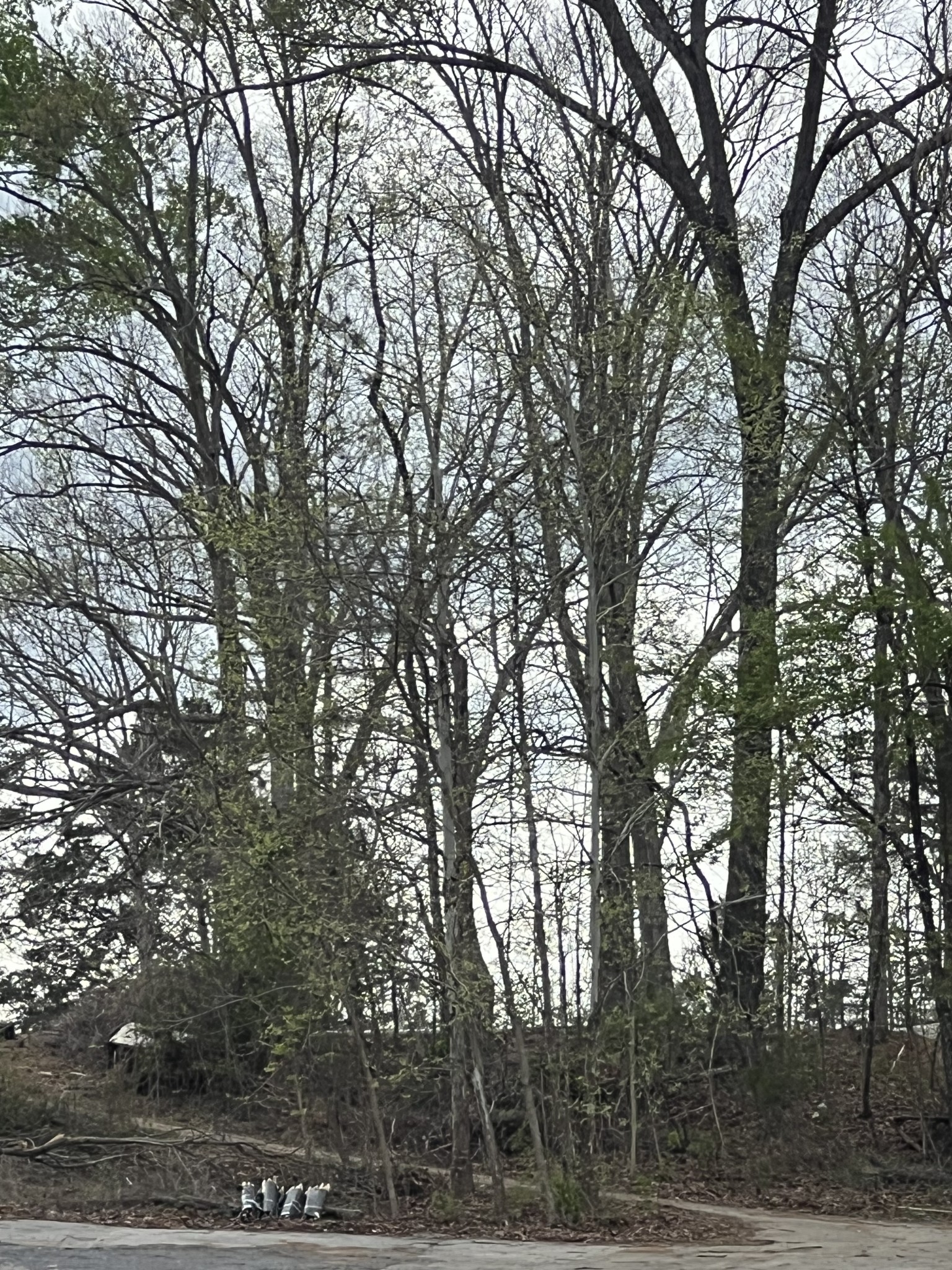 782 Cedar Hill Road Celina, TN 38551 - Photo 4 of 5