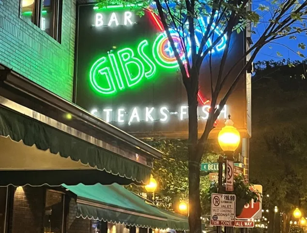 $485,000 | 818 North Dearborn Street, Unit 1R, Chicago, IL 60610