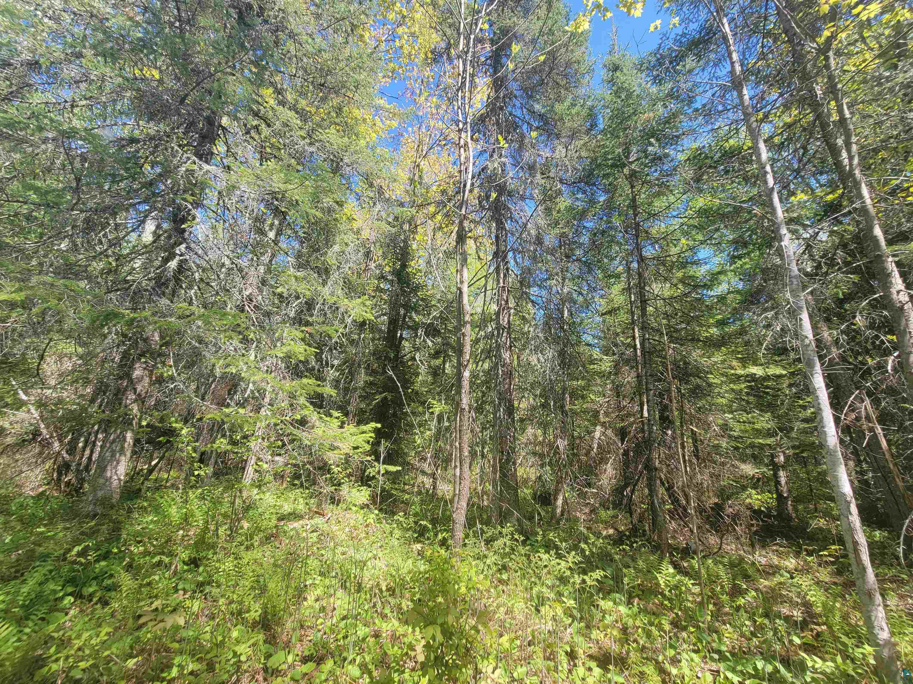8923-xx Jack Pine Road Cornucopia, WI 54827 - Photo 10 of 19 Gallery Image 10