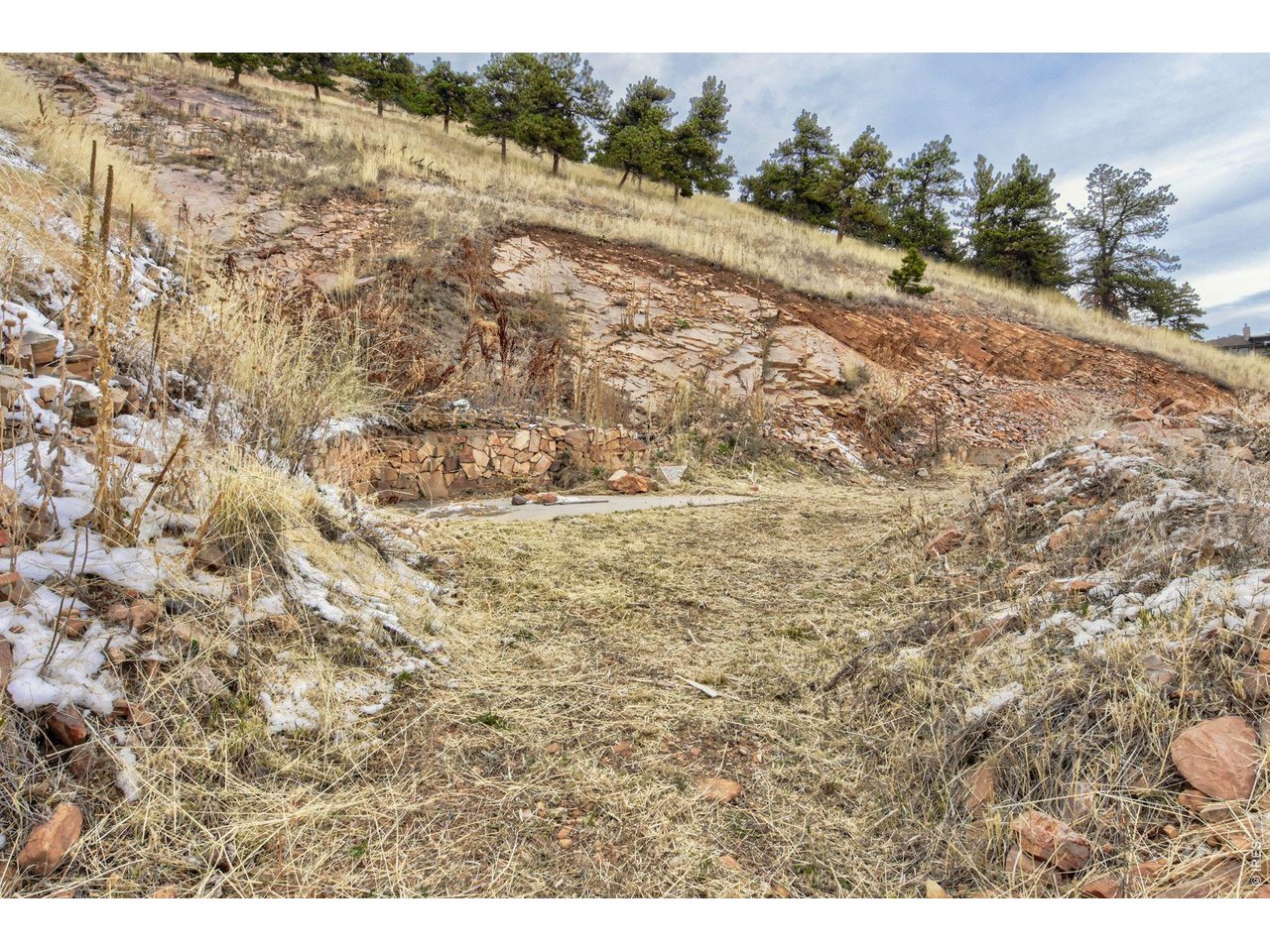 6041 Olde Stage Road Boulder, CO 80302 - Photo 9 of 19 a view of a dry yard