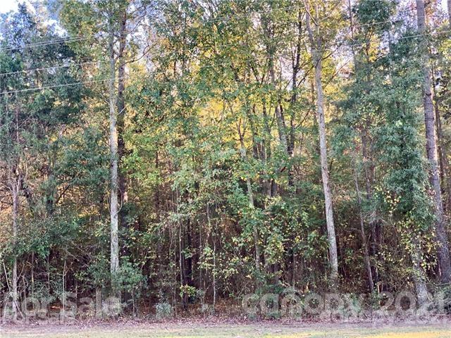 3746 State Rd S-29-330 Lancaster, SC 29720 - Photo 4 of 5 a view of a forest