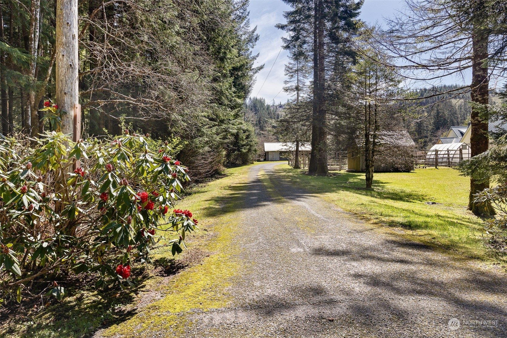 506 Conley Road Beaver, WA 98305 - Photo 35 of 39 Gallery Image 35