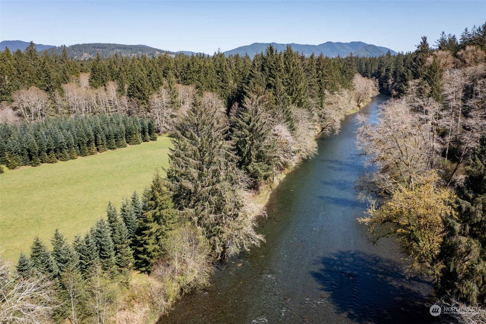 506 Conley Road Beaver, WA 98305 - Photo 5 of 39 Gallery Image 5