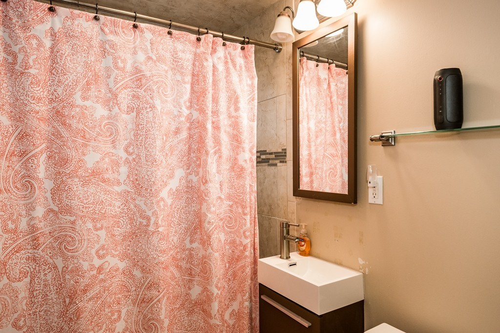 157 Brayton Road, Unit 1 Boston, MA 02135 - Photo 12 of 14 Gallery Image 12
