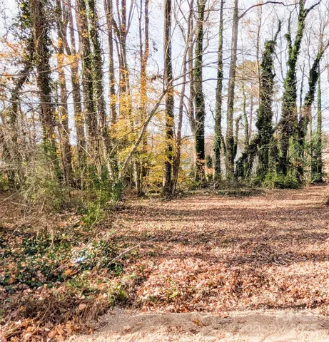 a backyard of a house with a large tree