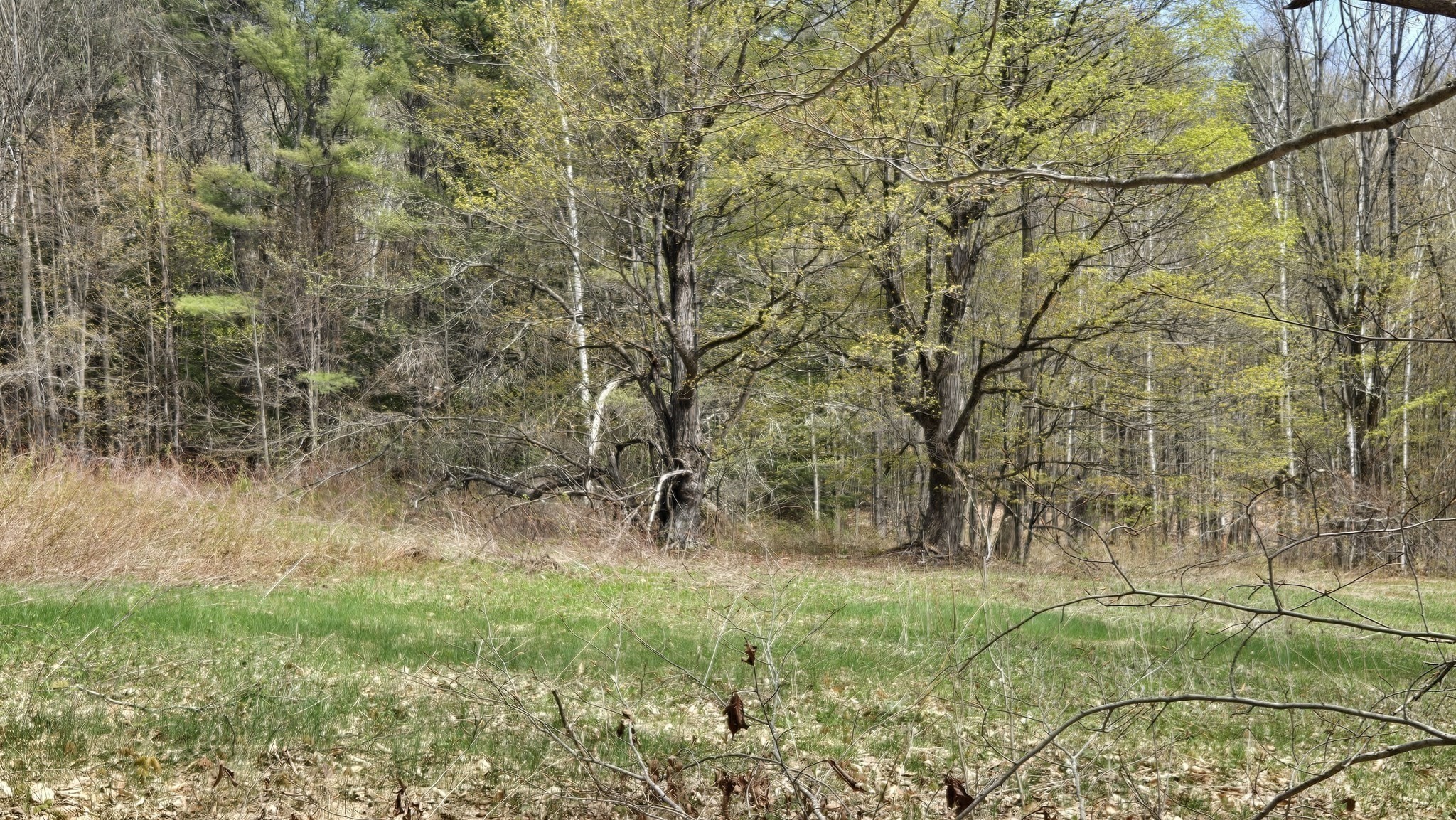 0 West Branch Road Colrain, MA 01340 - Photo 1 of 5 Gallery Image 1