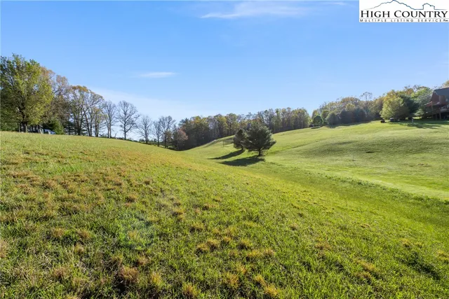 a view of grassy field with mountain in background