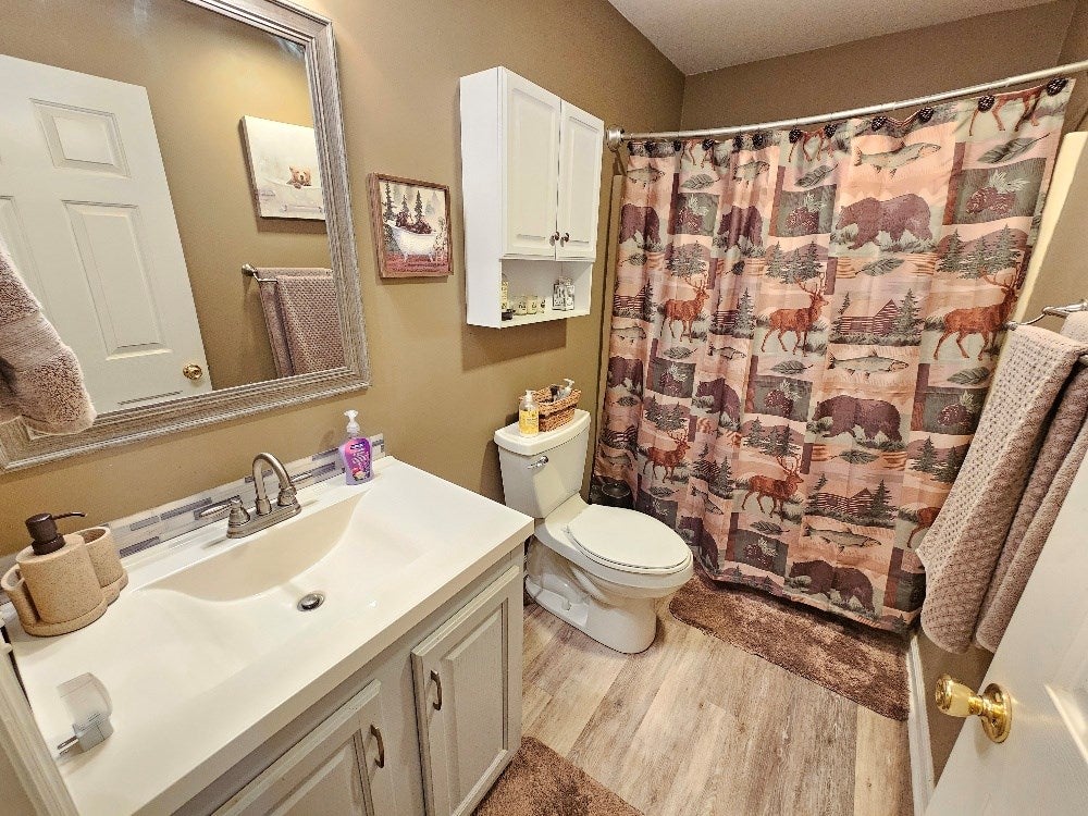 2609 Sandy Level Road Woodlawn, VA 24381 - Photo 32 of 46 Gallery Image 32