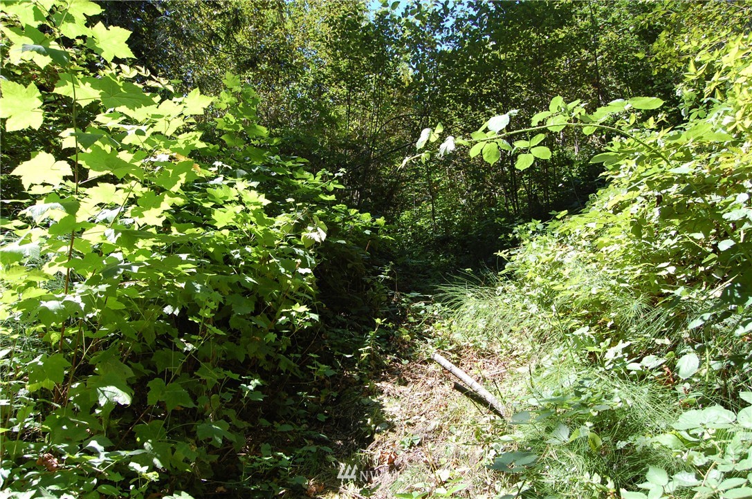 21224 Swamp Road Gold Bar, WA 98251 - Photo 1 of 5