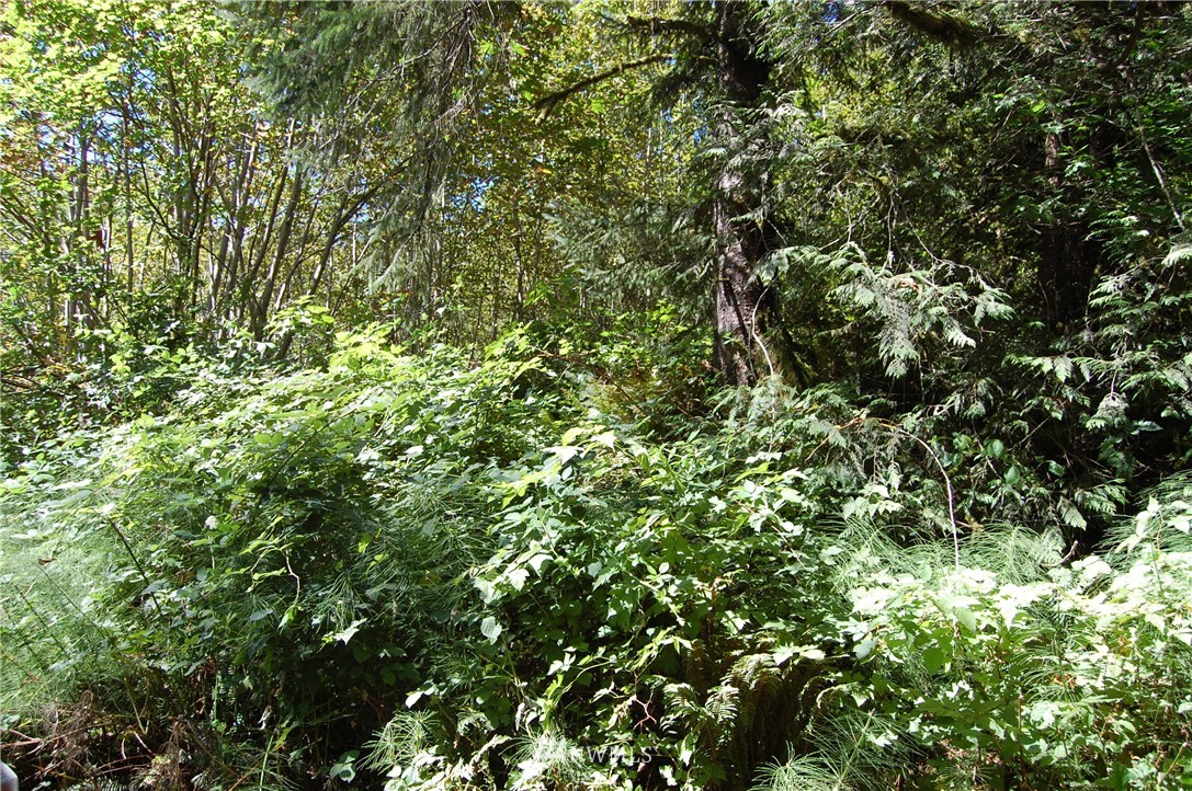 21224 Swamp Road Gold Bar, WA 98251 - Photo 4 of 5