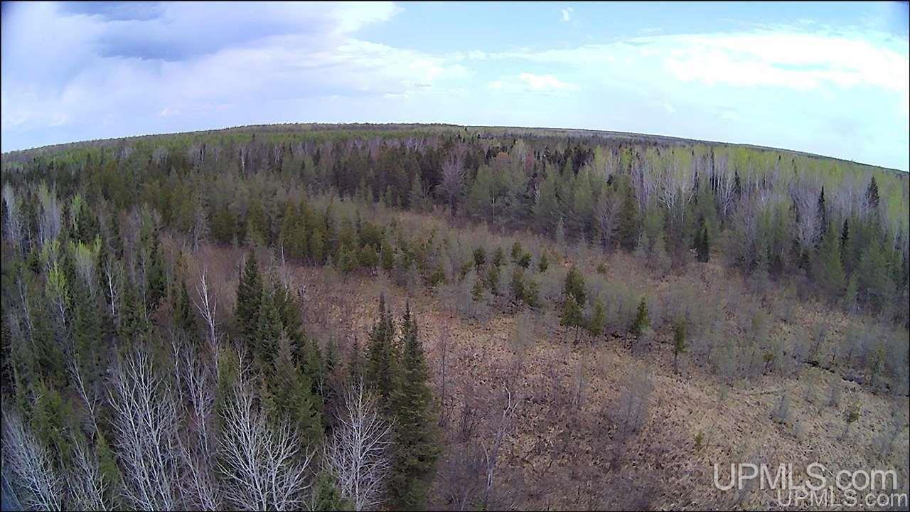 Tbd Tbd Co Road, Unit 1 Marquette, MI 49855 - Photo 10 of 50