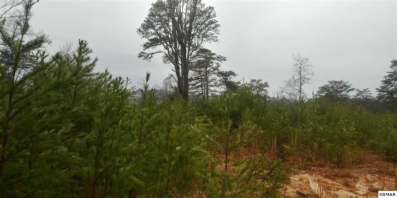 8 Sharp Road Sevierville, TN 37862 - Photo 4 of 7