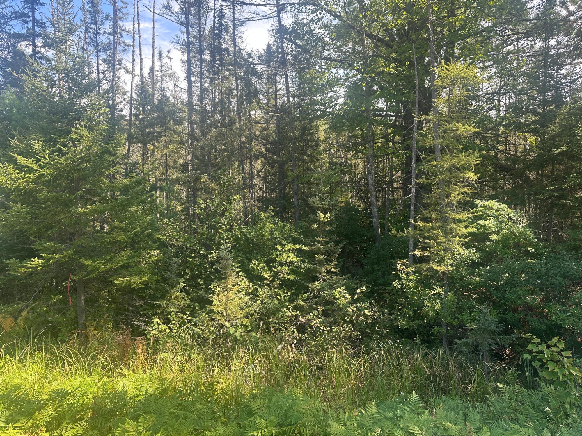 4788 Hwy 17 Rhinelander Wi 54501 Rhinelander, WI 54501 - Photo 1 of 11 Gallery Image 1