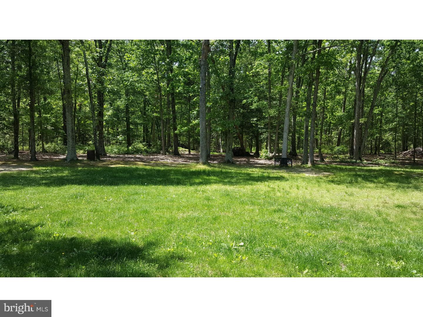 359 Willow Grove Road Elmer, NJ 08318 - Photo 15 of 16 View in Back