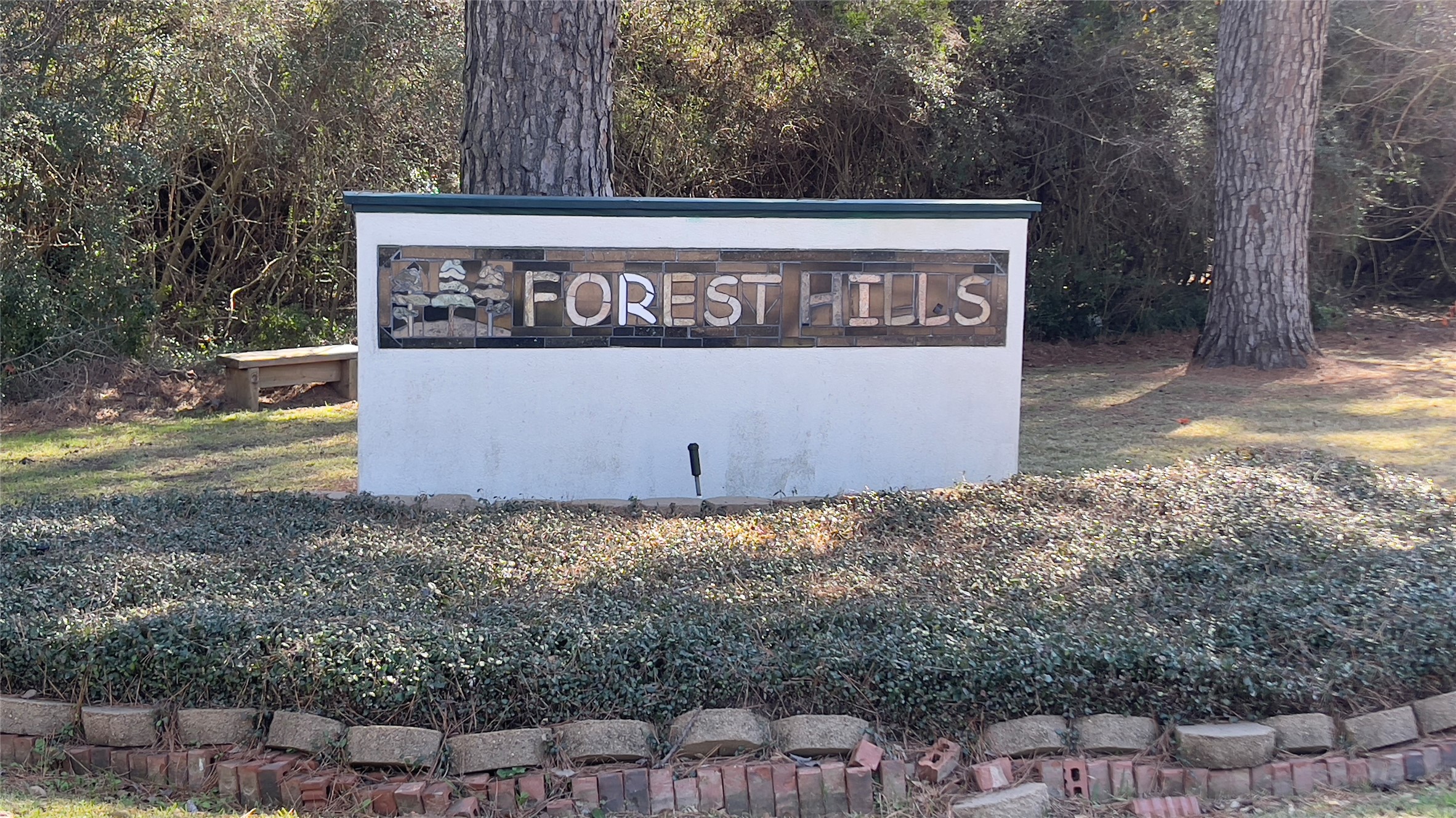 910 Brook Forest Court Conroe, TX 77385 - Photo 37 of 50