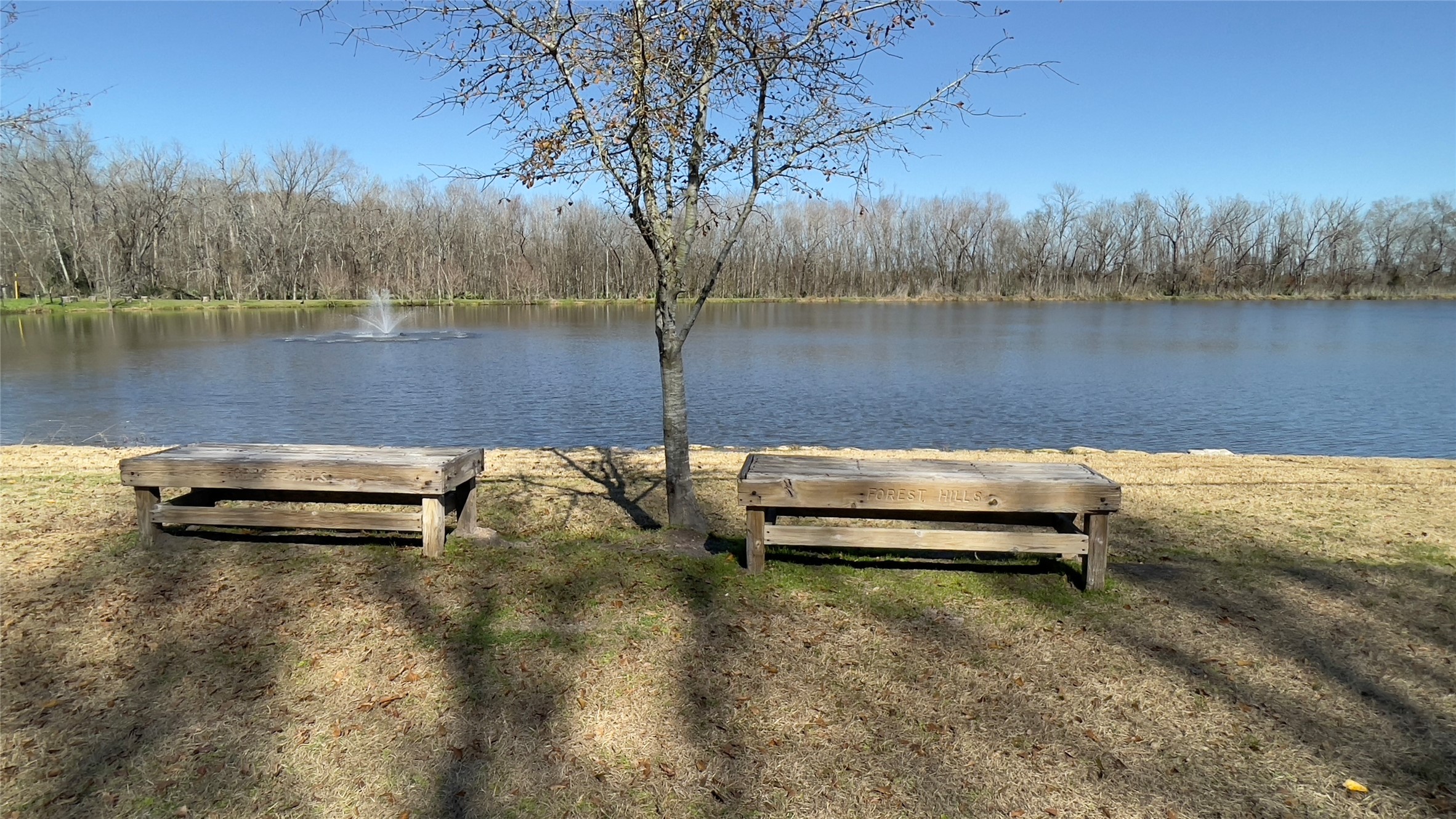 910 Brook Forest Court Conroe, TX 77385 - Photo 46 of 50