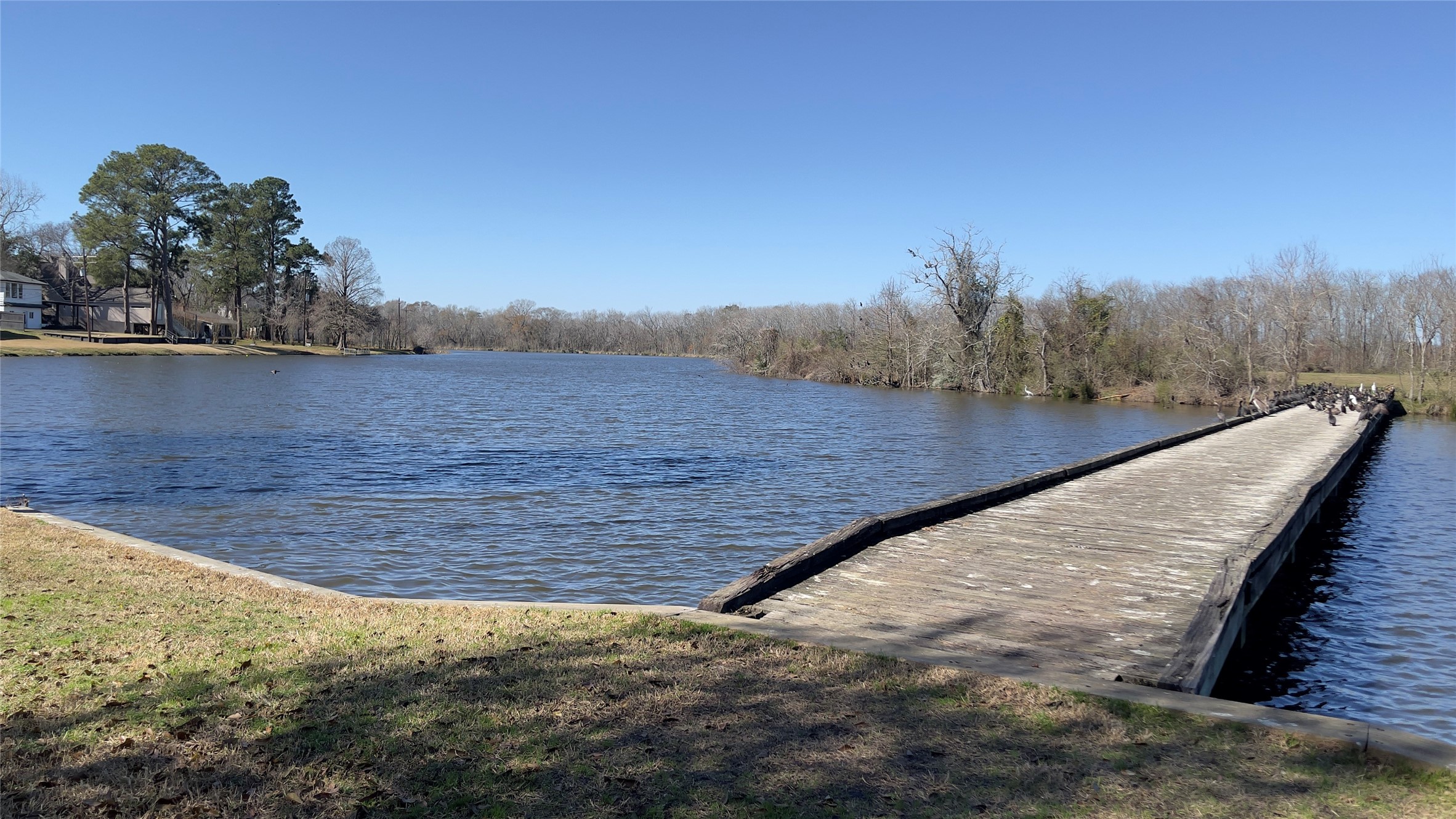 910 Brook Forest Court Conroe, TX 77385 - Photo 48 of 50