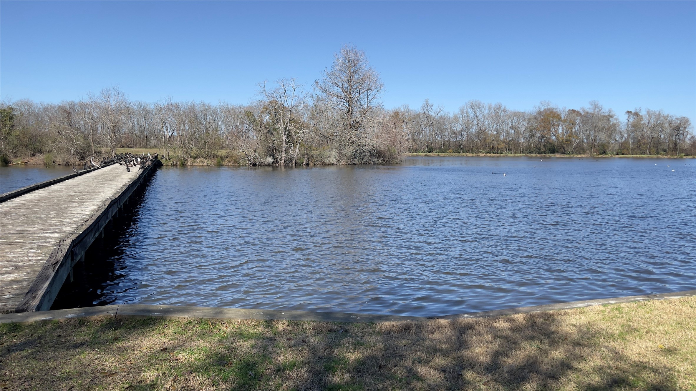 910 Brook Forest Court Conroe, TX 77385 - Photo 49 of 50