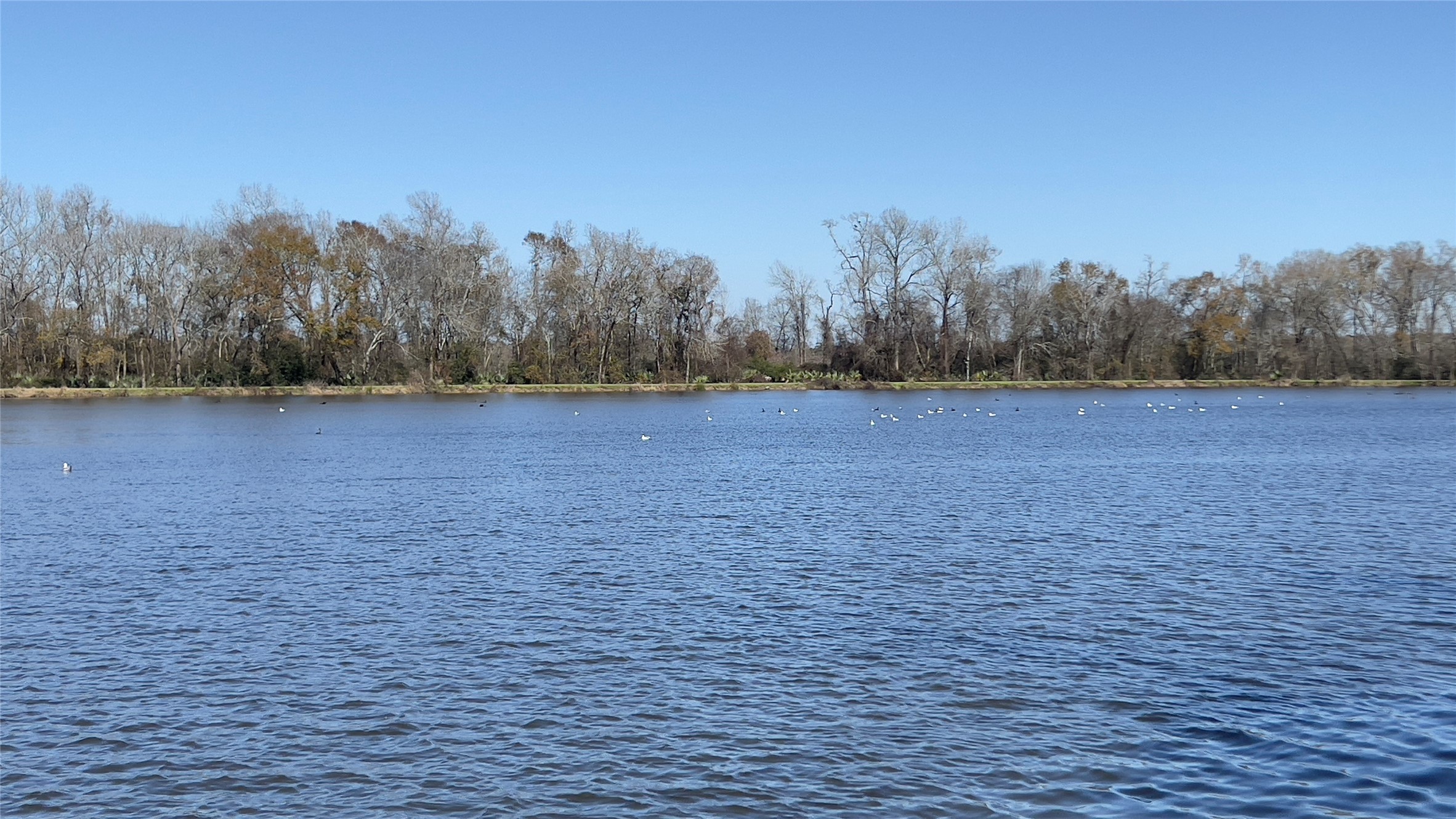 910 Brook Forest Court Conroe, TX 77385 - Photo 50 of 50