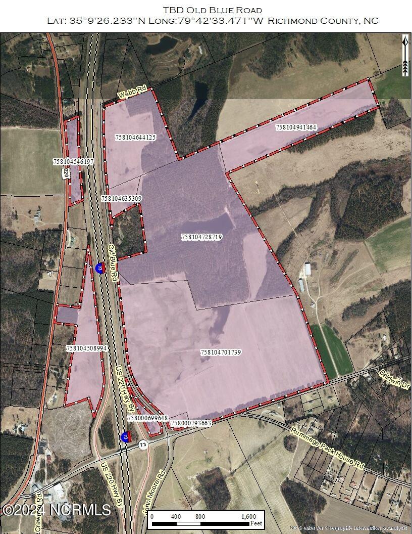 Tbd Tbd Old Blue Road Ellerbe, NC 28338 - Photo 3 of 4 Parcel