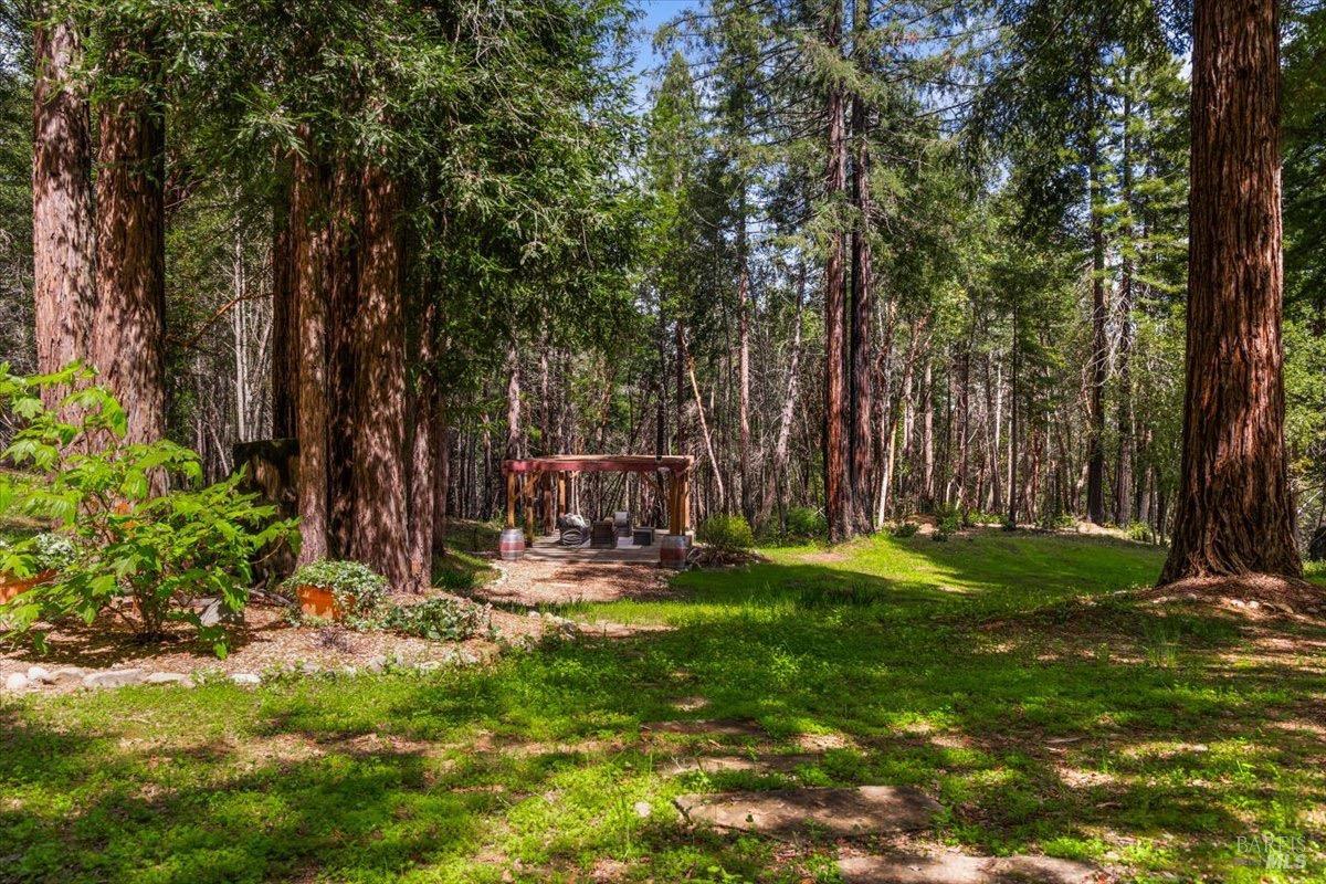 12076 Cloud Ridge Road Healdsburg, CA 95448 - Photo 39 of 72 A private patio under a pergola over looking the acreage of redwoods.