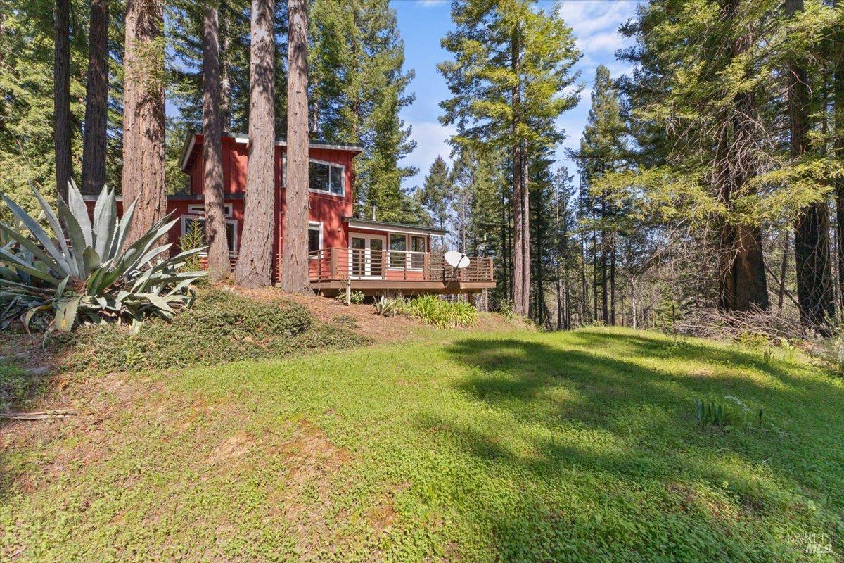 12076 Cloud Ridge Road Healdsburg, CA 95448 - Photo 63 of 72 Open space surrounding guest cabin.