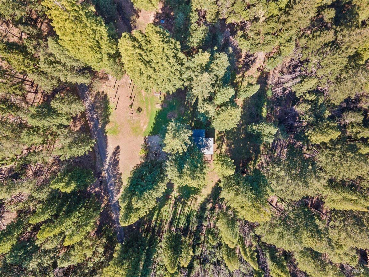 12076 Cloud Ridge Road Healdsburg, CA 95448 - Photo 64 of 72 Aerial of guest cabin with view of driveway, and open spaces. Large poles could be turned into pole barn.