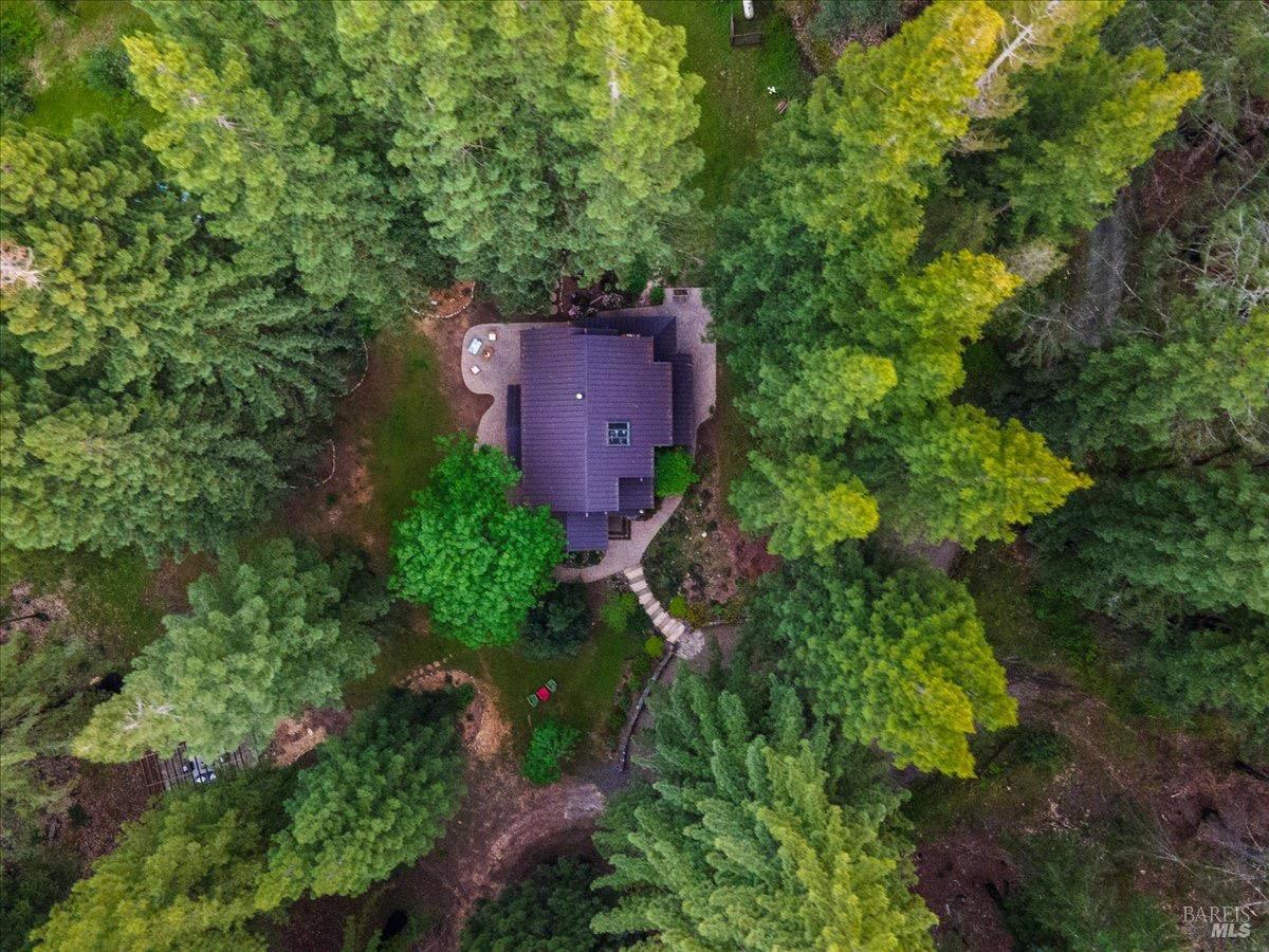 12076 Cloud Ridge Road Healdsburg, CA 95448 - Photo 68 of 72 Aerial view of main house showing dreamy redwoods.