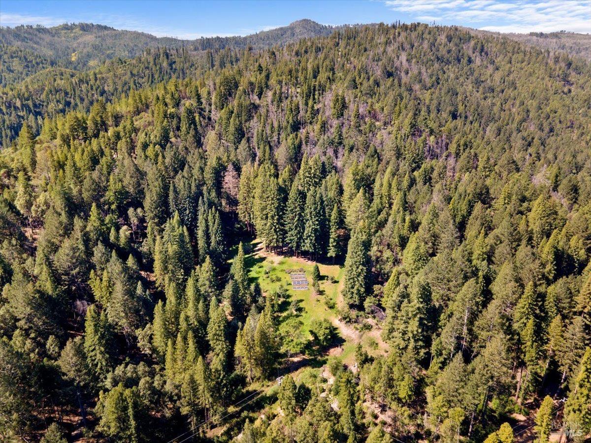 12076 Cloud Ridge Road Healdsburg, CA 95448 - Photo 71 of 72 View of open space leading up to the main house.