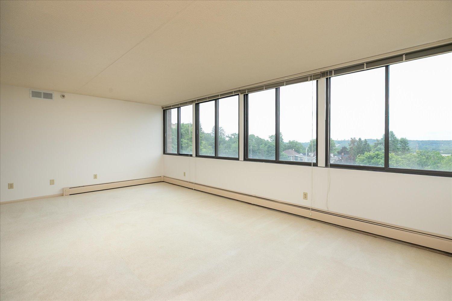 600 4th Street Southwest, Unit 605 Rochester, MN 55902 - Photo 3 of 37