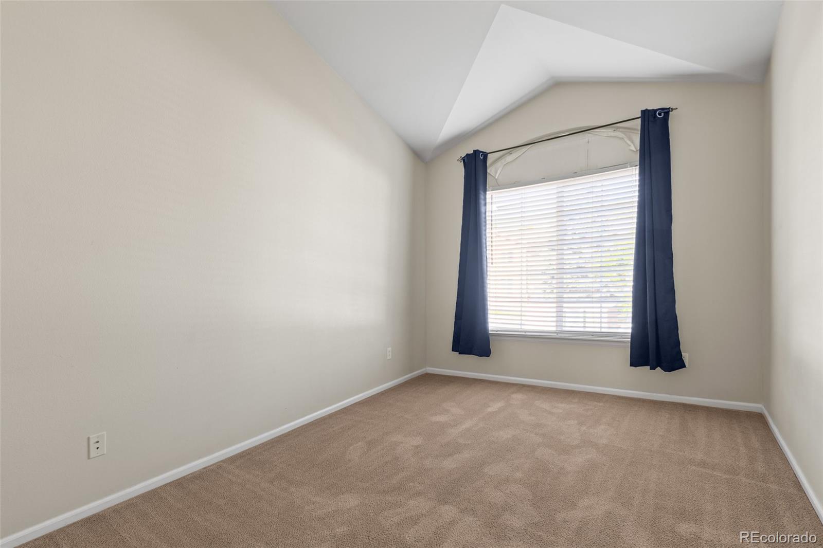 8399 Stonybridge Circle Highlands Ranch, CO 80126 - Photo 25 of 34