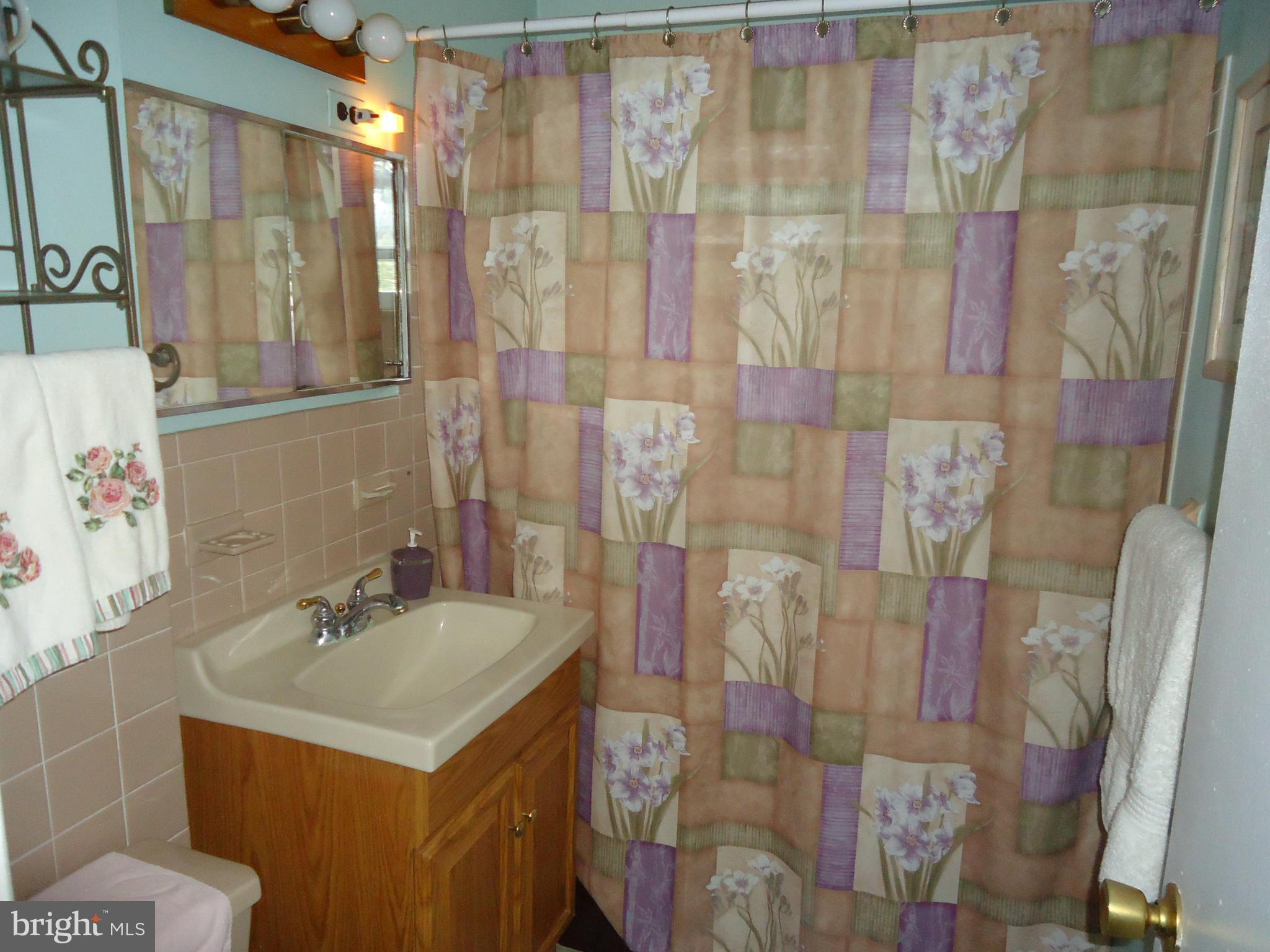 1232 Ripley Street Philadelphia, PA 19111 - Photo 14 of 22 Full Bath