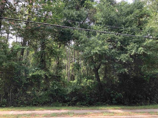 0 Henderson Road Tallahassee, FL 32312 - Photo 2 of 4 Gallery Image 2