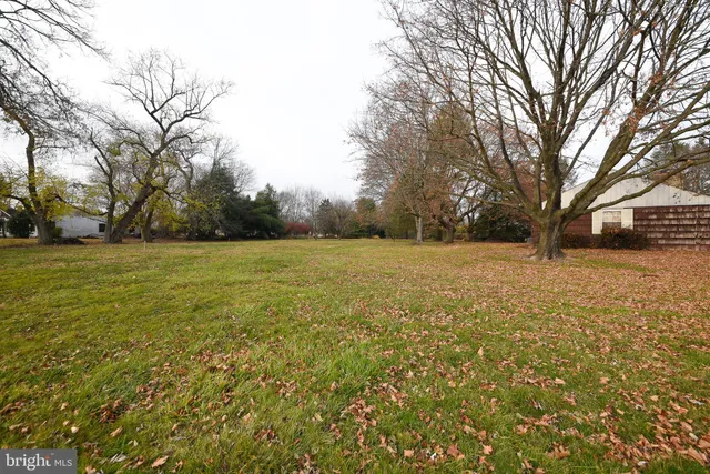 a view of a field with trees in the background