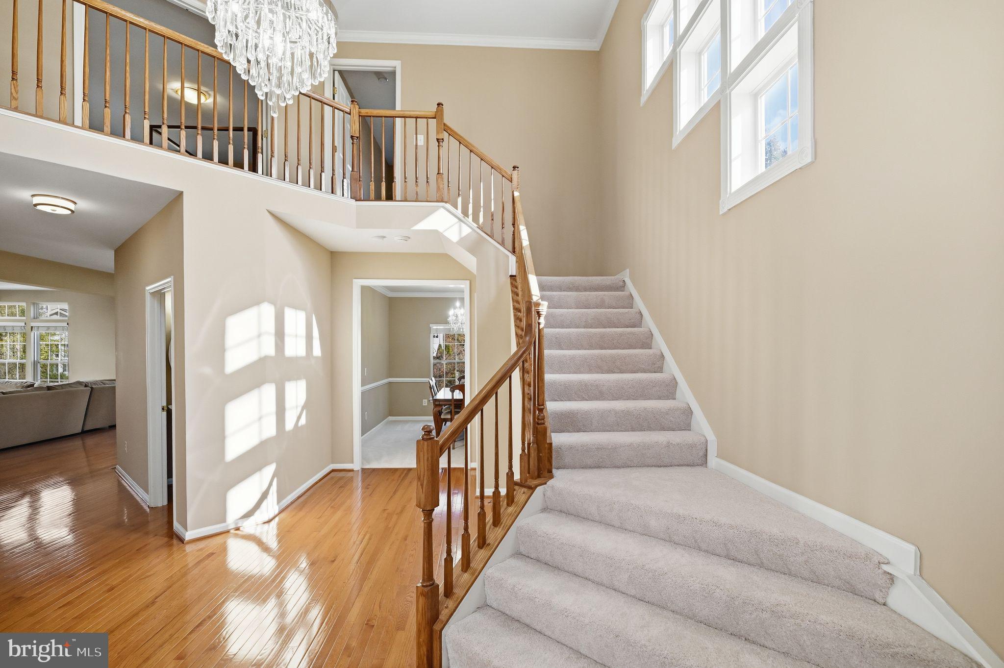 6837 Rathbone Place Gainesville, VA 20155 - Photo 3 of 44 Welcoming 2 story foyer