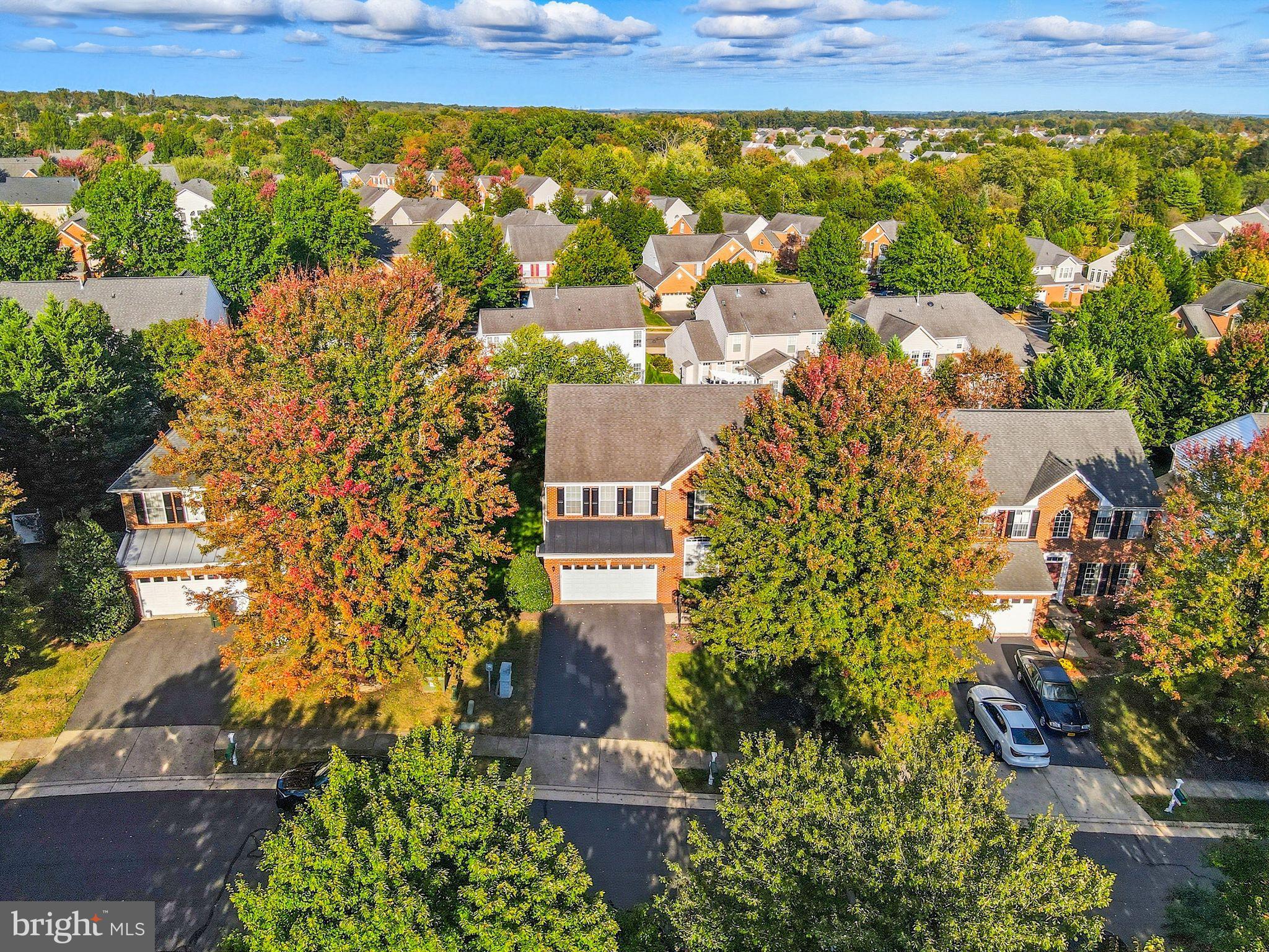6837 Rathbone Place Gainesville, VA 20155 - Photo 40 of 44 View of sought after and amenities filled Piedmont