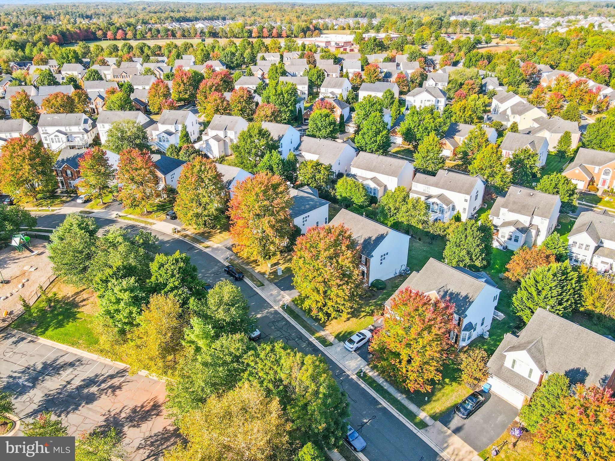 6837 Rathbone Place Gainesville, VA 20155 - Photo 44 of 44 View of sought after and amenities filled Piedmont