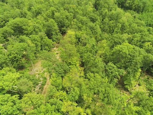 $550,000 | 0 Upper Plains Road, Salisbury, VT 05769