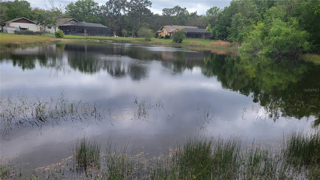 Rabbit Drive New Port Richey, FL 34654 - Photo 2 of 2